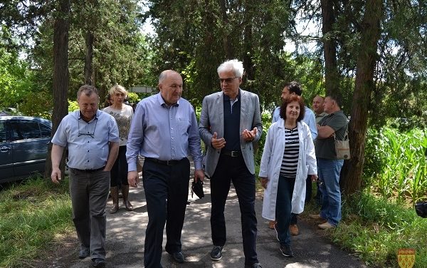 Пуштен во употреба системот „капка по капка“ за производство на ориз во Кочанско