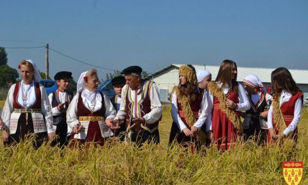Вечерва започнуваат 27. „Денови на кочанскиот ориз“