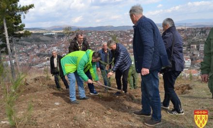 Со акција на општинската администрација – пошумување на Локубија
