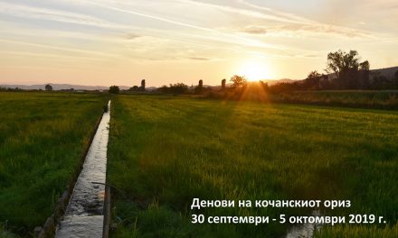 Програма за манифестацијата Денови на кочанскиот ориз – 2019