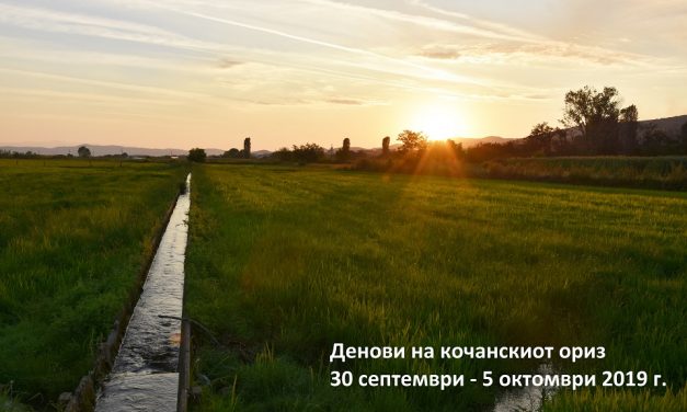 Програма за манифестацијата Денови на кочанскиот ориз – 2019