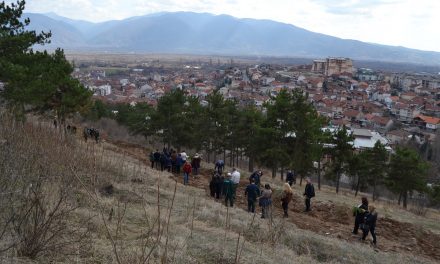 Акција за пошумување на неколку локации во Кочани