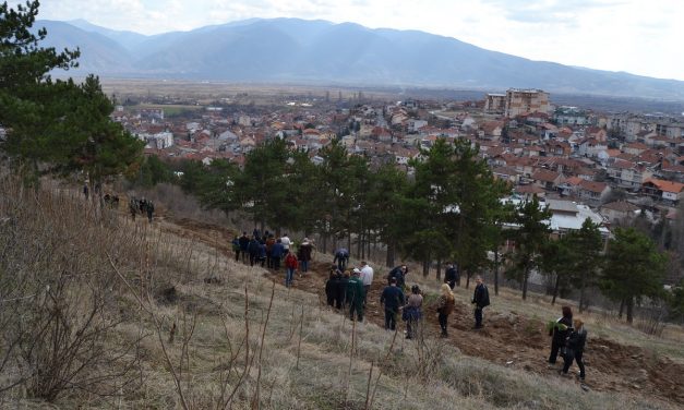 Акција за пошумување на неколку локации во Кочани