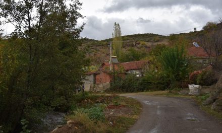 Почна изградбата на патот од Оризари до локалитетот Добра Вода
