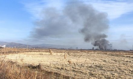 Засилени инспекциските контроли на оризовите стрништа во Кочанско