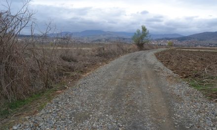 Со подобрување на полските патишта до добра земјоделска пракса и поздрава животна средина