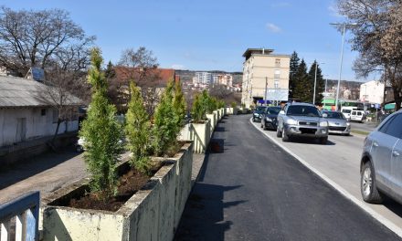 Акција за озеленување на дел од улицата „Тодосија Паунов“