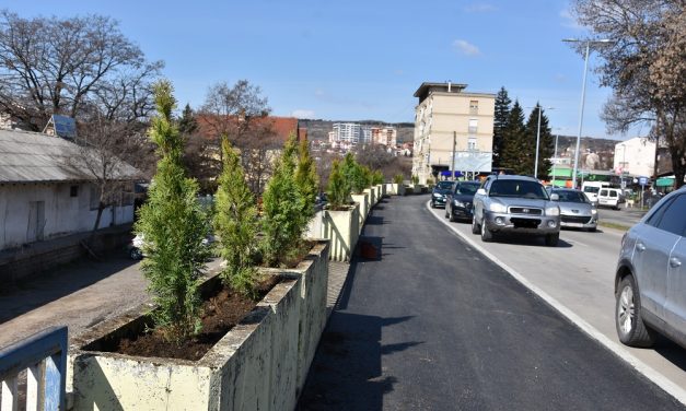 Акција за озеленување на дел од улицата „Тодосија Паунов“