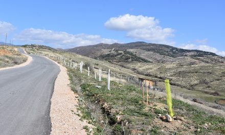 Нова еколошка акција – засадени 300 багреми во населбата Усова Чешма