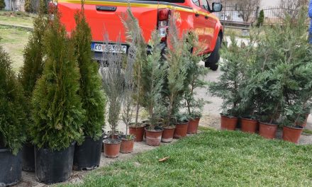 Засадени нови 43 садници во месноста Калиманова глава