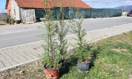 Во денешната еколошка акција засадени 120 нови садници