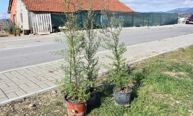 Во денешната еколошка акција засадени 120 нови садници