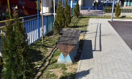 Нови пролетни озеленувања на градските површини