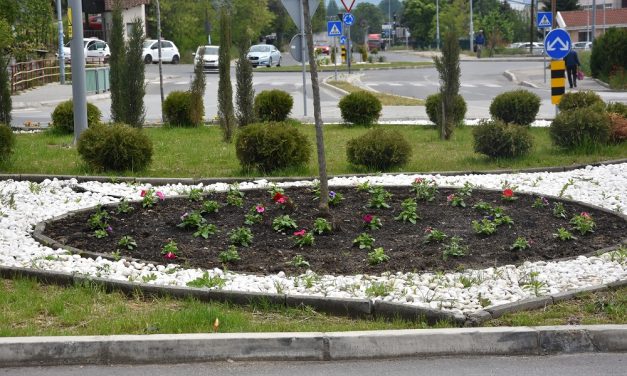 Уредување на садните површини на кружните текови во градот