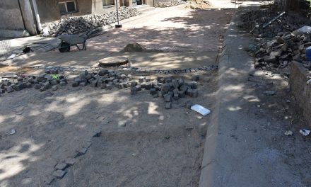 Се прередуваат бекатон плочките на одредени делови во Градскиот Парк