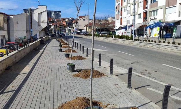 Општина Кочани започна со пролетното озеленување на јавните површини