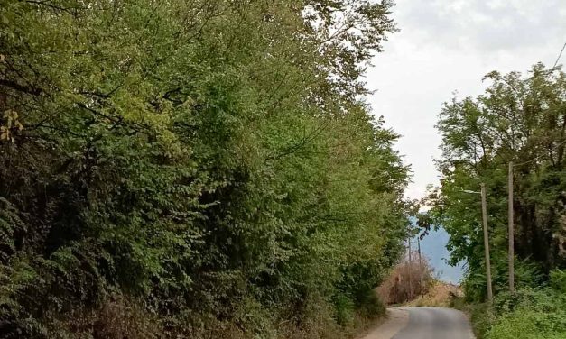 Крпење ударни дупки и реконструкција на сливни решетки од полимер бетон