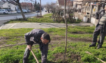 Општина Кочани продолжува со озеленување на јавните површини